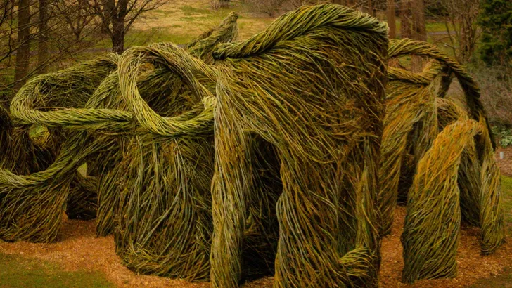 Loop de Loop at Morris Arboretum