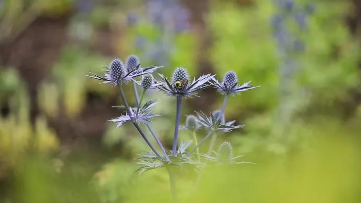 Sol Lewitt Garden – uwishunu Philly 101 video
